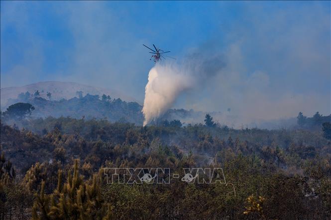 Trực thăng cứu hỏa tham gia dập đám cháy rừng tại Naples, Italy ngày 11/8/2025. Ảnh: THX/TTXVN