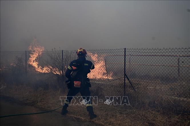 Lính cứu hỏa dập đám cháy rừng tại Keratea, Hy Lạp ngày 8/8/2025. Ảnh: THX/TTXVN