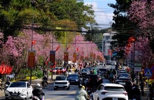 Hàng loạt đô thị của Lâm Đồng thăng hạng sau sắp xếp đơn vị hành chính