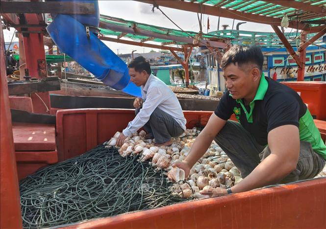 Toàn tỉnh Cà Mau có 5.165 phương tiện tàu cá, có trên 25.788 lao động làm việc trên các tàu. Ảnh: Tuấn Phi - TTXVN