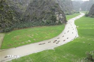 Ninh Bình: Dệt bức tranh bằng lúa khổ lớn giữa muôn trùng núi non