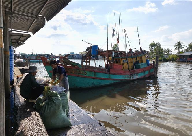 Tính đến cuối tháng 3/2026, ảnh hưởng tăng nhiên liệu tỉnh Cà Mau có khoảng 274 phương tiện giảm chuyến biển, 84 phương tiên tạm ngưng khai thác. Ảnh: Tuấn Phi - TTXVN