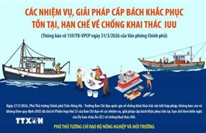 Giải pháp cấp bách khắc phục tồn tại, hạn chế về chống khai thác IUU