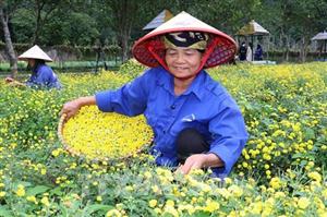 "Đảo hoa" khoe sắc giữa thiên nhiên di sản