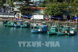 Quyết liệt hành động theo khuyến nghị của EC