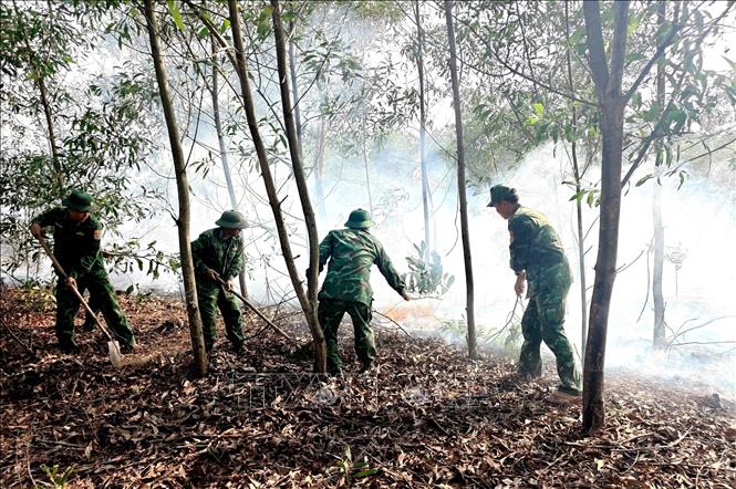 Các lực lượng chức năng khẩn trương thực hiện các biện pháp chữa cháy rừng. Ảnh: TTXVN phát