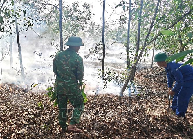 Các lực lượng nỗ lực dập lửa. Ảnh: TTXVN phát