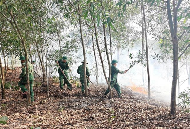 Cán bộ, chiến sĩ Đồn Biên phòng Hải An (Bộ đội Biên phòng tỉnh Quảng Trị) nỗ lực chữa cháy rừng xảy ra ở thôn Tây Tân An, xã Mỹ Thuỷ. Ảnh: TTXVN phát