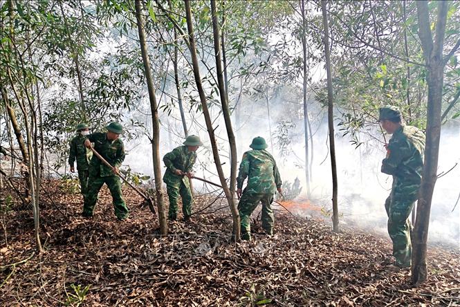 Các lực lượng nỗ lực dập lửa. Ảnh: TTXVN phát