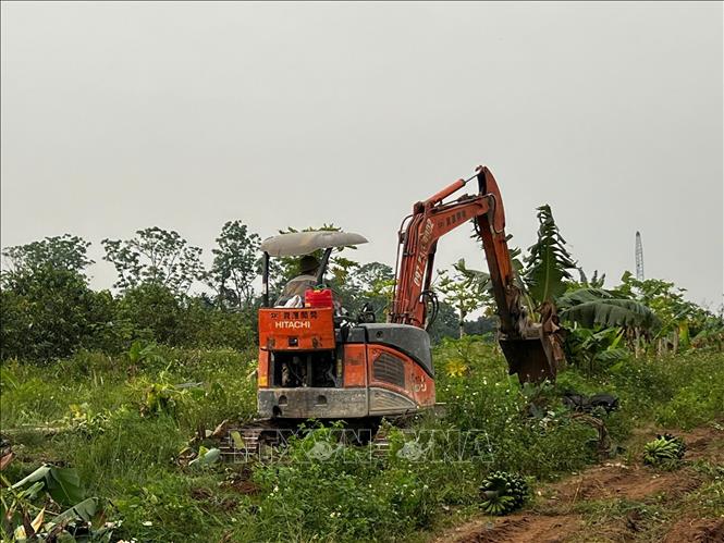 Lực lượng thi công tiến hành tháo dỡ, dọn dẹp cây cối trên diện tích đất đã được người dân bàn giao để giải phóng mặt bằng. Ảnh: Kim Anh - TTXVN