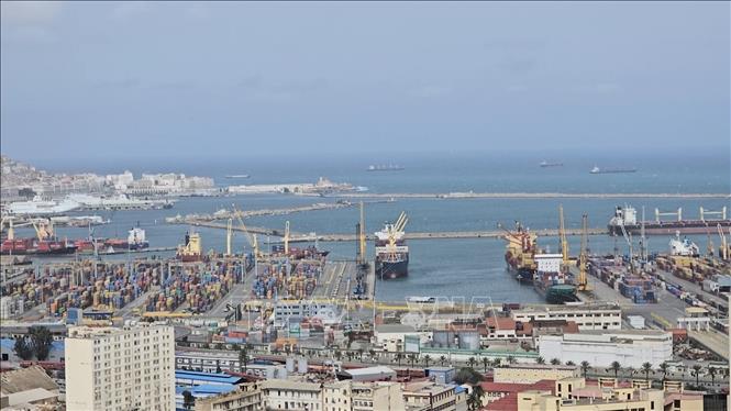 Cảng thương mại và dầu khí Algiers. Ảnh: Nguyễn An - PV TTXVN tại Algeria