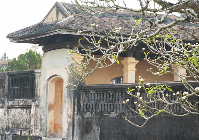 A peaceful scene inside Hue Imperial Citadel with spring flowers. VNA Photo: Nguyên Lý