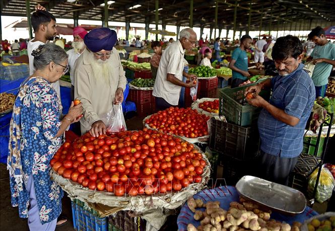 Người dân tại một khu chợ ở Jalandhar, Ấn Độ. Ảnh: ANI/TTXVN