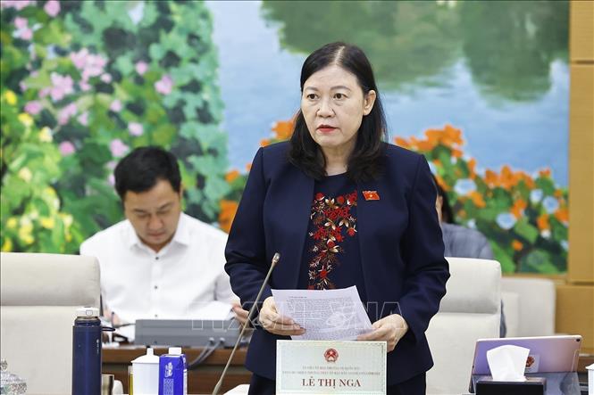 Phó Chủ nhiệm Thường trực Ủy ban Dân nguyện và Giám sát của Quốc hội Lê Thị Nga trình bày báo cáo. Ảnh: Doãn Tấn - TTXVN
