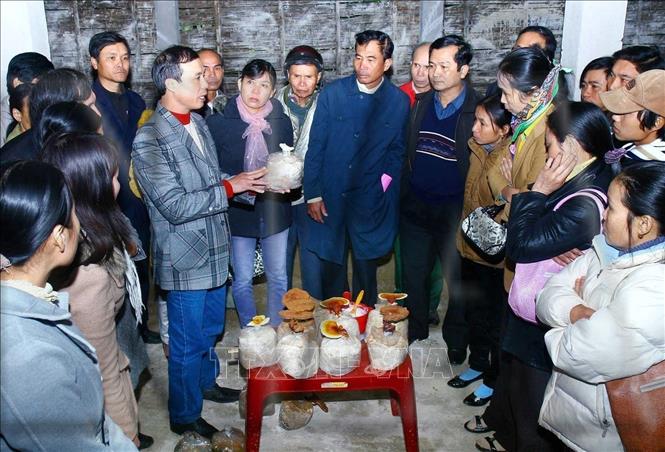 Việc hỗ trợ nạn nhân bom, mìn tái hòa nhập cộng đồng đã được các ngành chức năng, các địa phương và một số tổ chức phi chính phủ thực hiện một cách hiệu quả. Việc tái định cư được Chính phủ quan tâm bằng những chương trình, dự án cụ thể tại các địa phương…Trong ảnh: Tổ chức RENEW và Viện Humpty Dumpty Institute (tổ chức phi Chính phủ tại Mỹ) tổ chức lớp tập huấn, chuyển giao công nghệ trồng nấm linh chi cho gia đình có nạn nhân bị ảnh hưởng bom, mìn trên địa bàn huyện Cam Lộ, tỉnh Quảng Trị (2/2012). Ảnh: Hồ Cầu - TTXVN