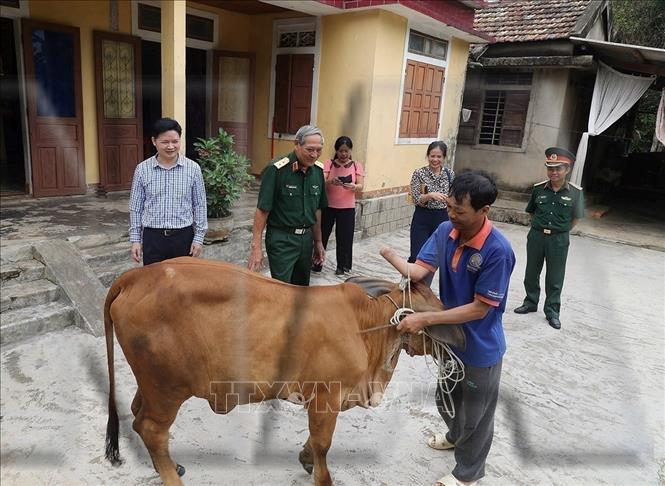 Đoàn công tác của Hội Hỗ trợ khắc phục hậu quả bom, mìn Việt Nam (VNASMA) phối hợp với Quỹ Hoa Hoà bình đến thăm hỏi, trao tặng bò giống và nhà ở cho các nạn nhân bom, mìn thuộc diện hộ nghèo và cận nghèo của tỉnh Quảng Bình. Ảnh: Lâm Khánh - TTXVN