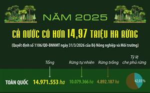 Năm 2025: Cả nước có hơn 14.97 triệu ha rừng