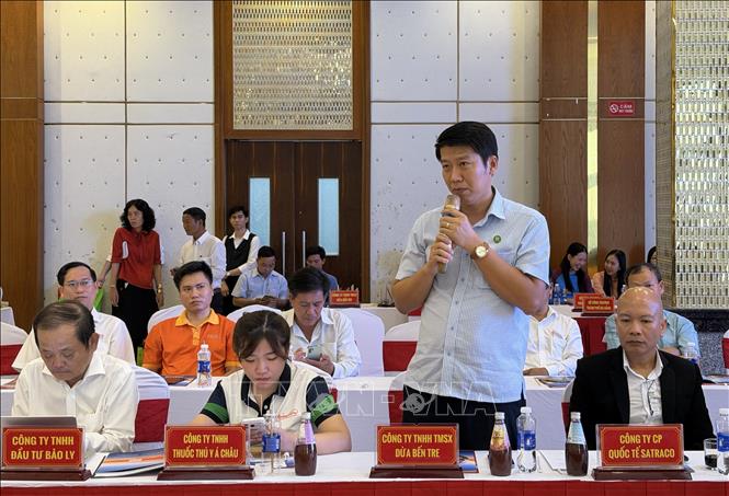Ông Lý Thái Hồng Minh, Giám đốc Công ty TNHH Thương mại và Dản xuất Dừa Bentre ( Bentrecorp) phát biểu tại Hội nghị. Ảnh: Nguyễn Văn Việt-TTXVN