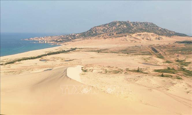 Khu vực Mũi Dinh (xã Phước Dinh, Khánh Hòa) nổi bật với những dải cát trắng rộng lớn ven biển, tạo nên vẻ đẹp đặc trưng của vùng đất đầy nắng và gió. Ảnh: Nguyễn Thành - TTXVN