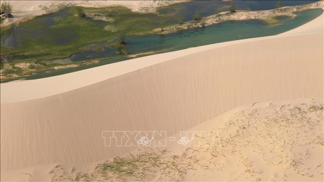 Từng đợt gió thổi cát bay tạo thành những triền cát lượn sóng đẹp mắt. Ảnh: Nguyễn Thành - TTXVN