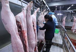 An toàn thực phẩm học đường: Rà soát, siết chặt hệ thống quản lý một cách thực chất