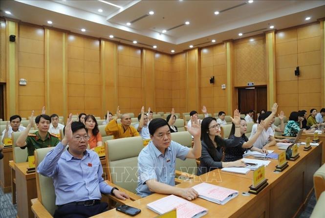 Các đại biểu biểu quyết thông qua chương trình làm việc của kỳ họp. Ảnh: Chu Hiệu-TTXVN