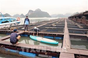 Bộ Nông nghiệp và Môi trường công bố 277 thủ tục hành chính