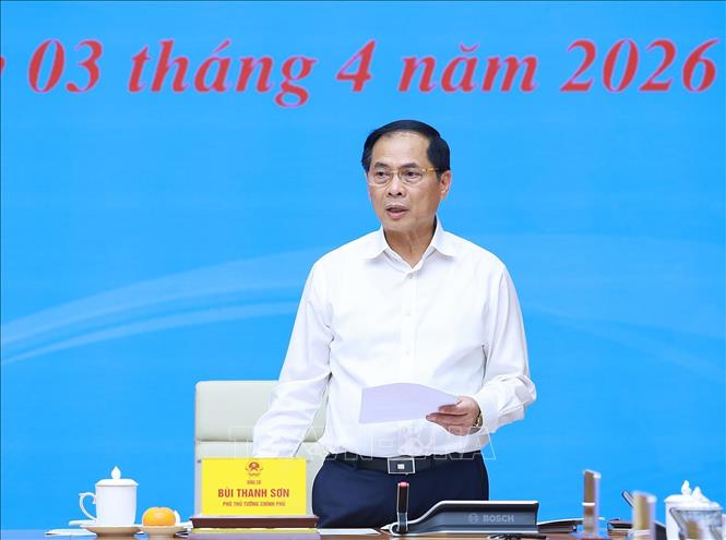 Phó Thủ tướng Bùi Thanh Sơn phát biểu. Ảnh: Dương Giang-TTXVN