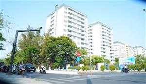 Sinh viên TP Hồ Chí Minh dần chuyển sang giao thông xanh