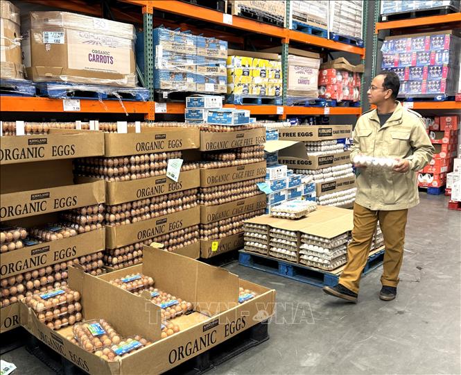 Khách hàng chọn mua trứng trong chuỗi siêu thị bán lẻ Costco ở bang Maryland. Ảnh: Đoàn Hùng - PV TTXVN tại Mỹ