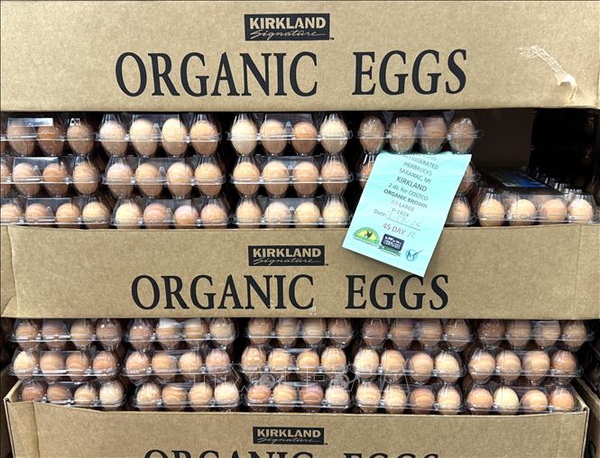 Trứng gà hữu cơ bày bán trong chuỗi siêu thị bán lẻ Costco ở bang Maryland. Ảnh: Đoàn Hùng - PV TTXVN tại Mỹ