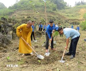 Tuyên Quang: Chung tay phủ xanh biên giới, hướng tới phát triển bền vững