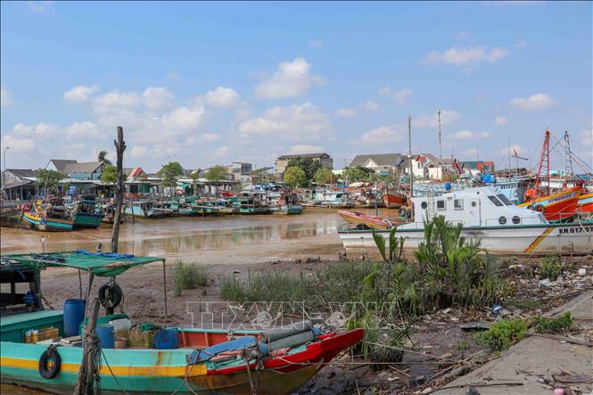 Tàu cá neo đậu tại khu vực cảng cá Trần Đề, thành phố Cần Thơ. Ảnh: Trung Kiên - TTXVN