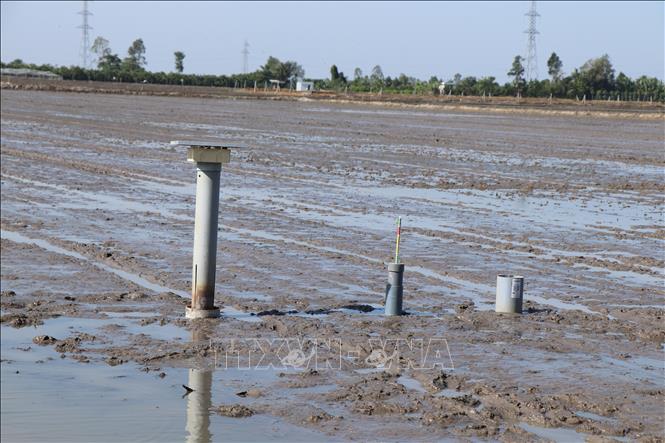 Nông dân tham gia mô hình sử dụng các thiết bị cảm biến đo mực nước và phần mềm giám sát việc bón phân theo nguyên tắc khuyến cáo 