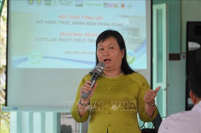 Theo bà Phạm Thị Minh Hiếu, Chi cục trưởng Chi cục Trồng trọt và Bảo vệ thực vật TP Cần Thơ bón phân đúng cách không chỉ giúp giảm chi phí đầu vào, tăng năng suất, mà còn đóng vai trò quan trọng trong giảm phát thải trong canh tác lúa. Ảnh: Thu Hiền - TTXVN