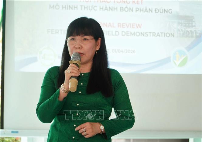 Theo bà Nguyễn Thị Giang, Gi ám đốc Sở Nông nghiệp và Môi trường TP Cần Thơ thời gian tới ngành nông nghiệp sẽ xây dựng kế hoạch nhân rộng mô hình 