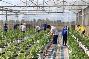 Thúc đẩy phát triển nông nghiệp, nông thôn bền vững