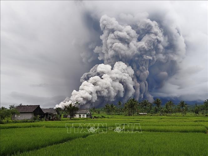 Tro bụi phun lên từ núi lửa Semeru ở Lumajang, Đông Java, Indonesia. Ảnh: THX/TTXVN