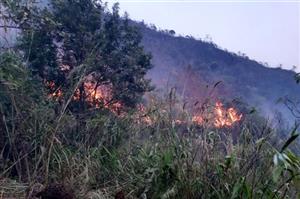 Điện Biên siết chặt phòng cháy rừng, dừng đốt nương