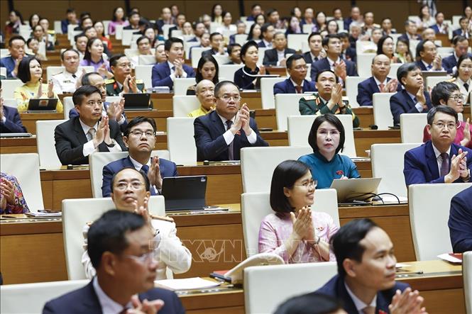 Đại biểu Quốc hội dự khai mạc Kỳ họp thứ Nhất, Quốc hội khóa XVI. Ảnh: Doãn Tấn - TTXVN