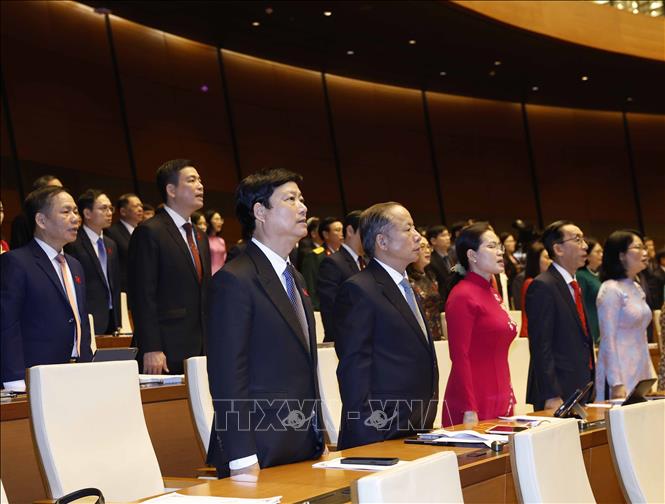 Các đại biểu thực hiện nghi thức chào cờ. Ảnh: Thống Nhất - TTXVN