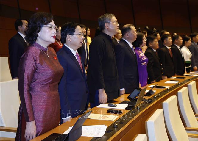 Các đại biểu thực hiện nghi thức chào cờ. Ảnh: Thống Nhất - TTXVN