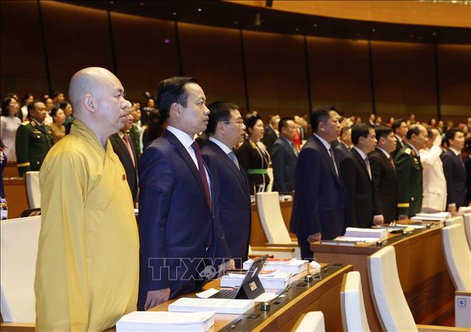 Các đại biểu thực hiện nghi thức chào cờ. Ảnh: Thống Nhất - TTXVN