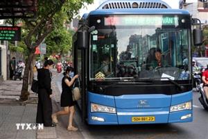 TP Hồ Chí Minh dự kiến miễn vé cho người dân trên 135 tuyến xe buýt