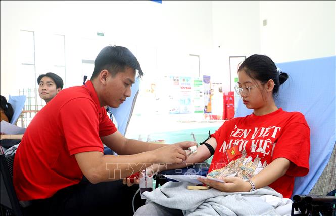 Các tình nguyện viên tham gia hiến máu. Ảnh: Lê Thúy Hằng – TTXVN. 
