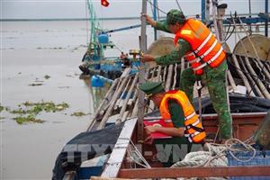 Đồng Tháp kiểm soát 100% tàu cá, tăng tốc khắc phục 