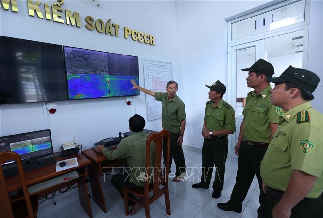 Lực lượng Kiểm lâm và lực lượng bảo vệ rừng giám sát qua hệ thống camera tại trung tâm điều hành trong vườn quốc gia U Minh Hạ, tỉnh Cà Mau. Ảnh: Vũ Sinh – TTXVN