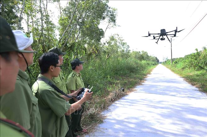 Lực lượng Kiểm lâm và lực lượng bảo vệ rừng, sử dụng thiết bị bay không người lái (flycam) giám sát trong khu vực vườn quốc gia U Minh Hạ, tỉnh Cà Mau. Ảnh: Vũ Sinh – TTXVN
