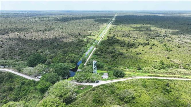 Vườn quốc gia U Minh Hạ (Cà Mau) có tổng diện tích 8.257,8 ha, đã được lắp đặt điểm hệ thống camera chuyên dụng phục vụ công tác quản lý, bảo vệ rừng và phòng cháy chữa cháy. Ảnh: Vũ Sinh – TTXVN
