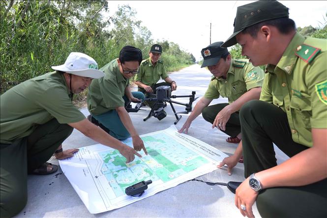 Lực lượng Kiểm lâm và lực lượng bảo vệ rừng, sử dụng thiết bị bay không người lái (flycam) giám sát trong khu vực vườn quốc gia U Minh Hạ, tỉnh Cà Mau. Ảnh: Vũ Sinh – TTXVN